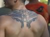 Angel wings tattoos gallery image pic design